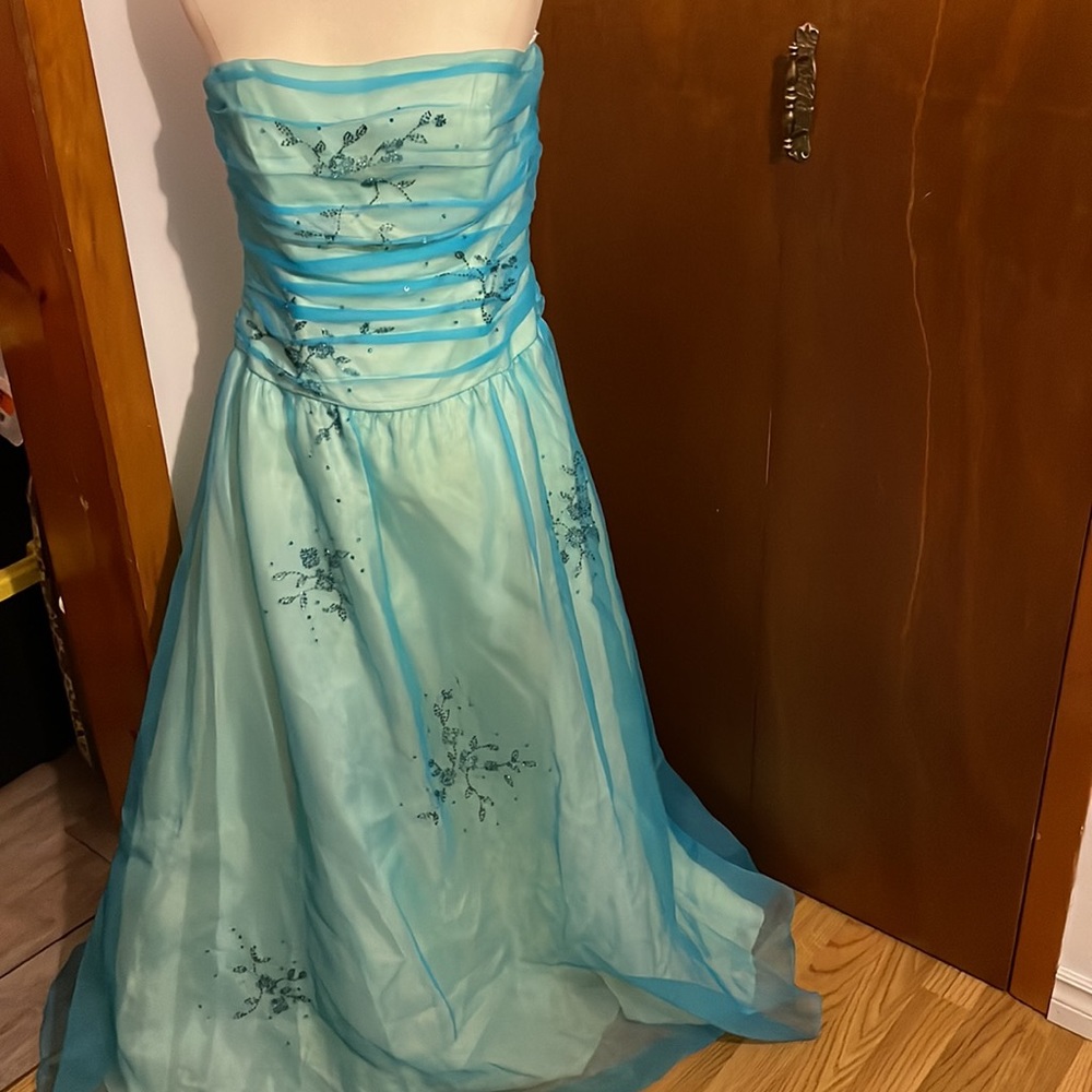 Size 10 Prom or Gala Dress
